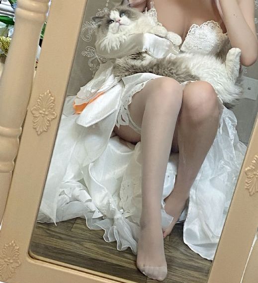 内裤奇缘网