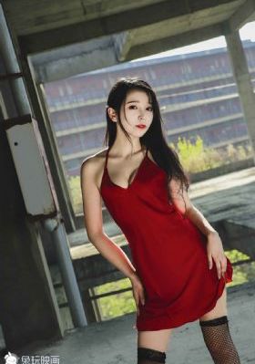 我是刑警电视剧免费观看24集高清