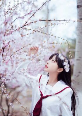 大叔的爱泰剧免费观看
