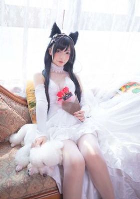 少女h文